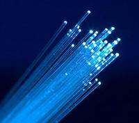 Fiber connectivity